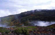 07_aki_photo-9.jpg (50741 oCg)