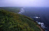 07_natu_photo-10.jpg (54989 oCg)