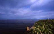 07_natu_photo-11.jpg (36208 バイト)