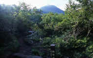 07_natu_photo-12.jpg (99720 バイト)