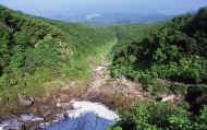 07_natu_photo-13.jpg (117290 バイト)
