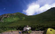 07_natu_photo-14.jpg (56545 バイト)