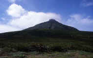 07_natu_photo-15.jpg (47259 バイト)