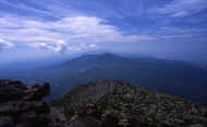 07_natu_photo-18.jpg (42800 バイト)