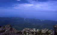 07_natu_photo-19.jpg (42117 バイト)