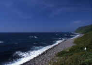 07_natu_photo-1.jpg (52110 oCg)
