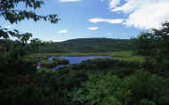 07_natu_photo-21.jpg (59776 バイト)