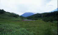 07_natu_photo-22.jpg (56480 バイト)