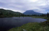 07_natu_photo-23.jpg (44726 バイト)