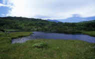 07_natu_photo-24.jpg (66220 バイト)