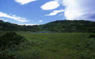 07_natu_photo-25.jpg (56561 バイト)