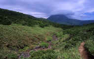 07_natu_photo-26.jpg (91715 バイト)