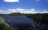07_natu_photo-27.jpg (51289 バイト)
