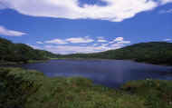 07_natu_photo-28.jpg (52332 バイト)