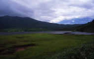 07_natu_photo-29.jpg (36379 バイト)