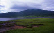 07_natu_photo-30.jpg (39137 バイト)