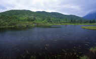 07_natu_photo-31.jpg (51529 バイト)