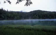 07_natu_photo-34.jpg (45248 バイト)