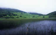 07_natu_photo-35.jpg (47981 バイト)