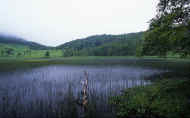 07_natu_photo-36.jpg (64703 バイト)
