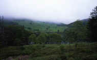 07_natu_photo-37.jpg (43520 バイト)