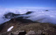 07_natu_photo-42.jpg (52046 バイト)