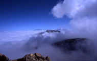 07_natu_photo-43.jpg (24984 バイト)