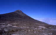 07_natu_photo-44.jpg (64802 バイト)