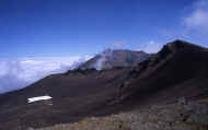07_natu_photo-45.jpg (40772 バイト)