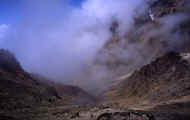 07_natu_photo-46.jpg (46878 バイト)