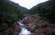 07_natu_photo-48.jpg (65600 バイト)
