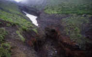 07_natu_photo-49.jpg (86656 バイト)