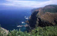 07_natu_photo-4.jpg (71976 oCg)