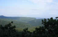 07_natu_photo-51.jpg (38587 バイト)