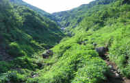 07_natu_photo-52.jpg (123317 バイト)