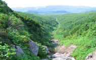 07_natu_photo-54.jpg (99846 バイト)