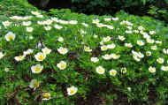 07_natu_photo-56.jpg (122475 バイト)