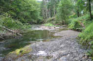 07_natu_photo-58.jpg (138341 バイト)