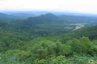 07_natu_photo-59.jpg (67585 バイト)
