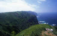 07_natu_photo-5.jpg (62591 oCg)