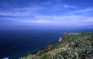 07_natu_photo-6.jpg (52930 oCg)