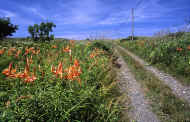 07_natu_photo-8.jpg (115813 oCg)