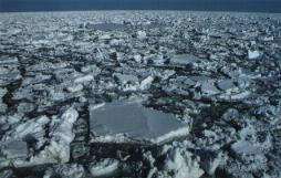 紋別でこの流氷