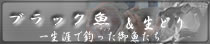 F_̒މʏ