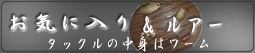 A[ƃ[