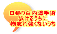 A蔒p 邤 YꋭȂ