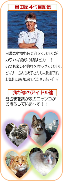 cSڑD
