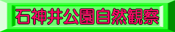ΐ_Rώ@