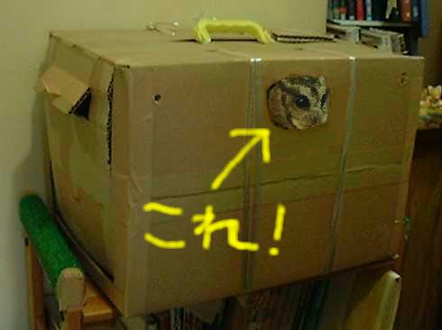 [EOIiɂČj]