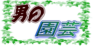 j̉|